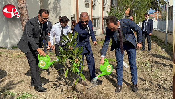 Çaycuma Adliyesi'nde fidan dikimi