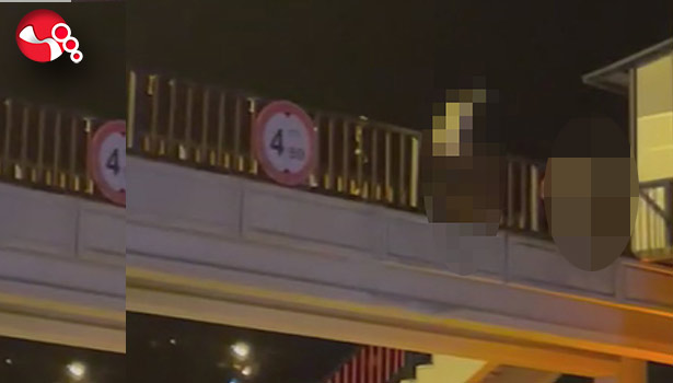 Üst geçitten atladı