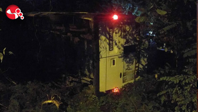 Ormanlık alana uçtu