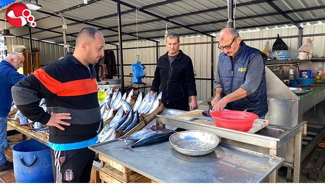 Zonguldak'ta palamudun fiyatı yükselişe geçti