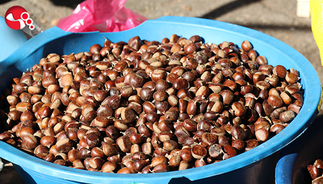 Kestane satışları başladı