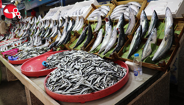 Balık çeşitliliği arttı