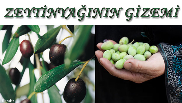 SOFRANIN VAZGEÇİLMEZİ