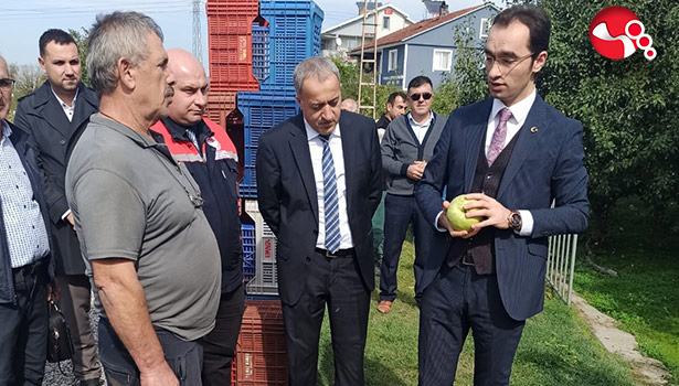 "Deveci Armudu Hasat Şenliği"