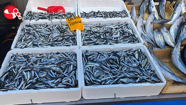 Hamsi tezgahlarda yerini aldı