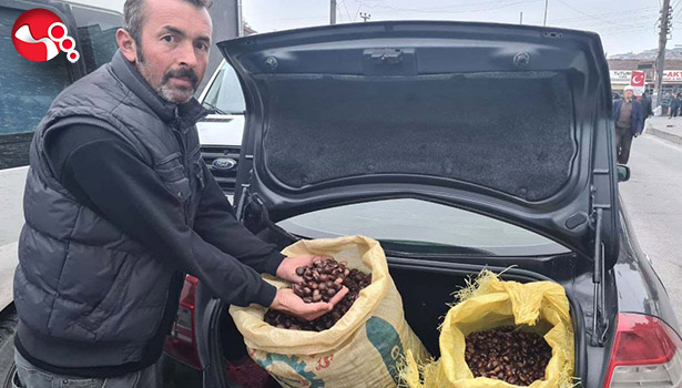 “Alaplı Kuzusu” almaya geldiler