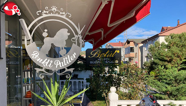 ‘Renkli Patiler’e renkli açılış…