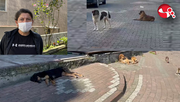 “Hayatımız kısıtlanmasın”