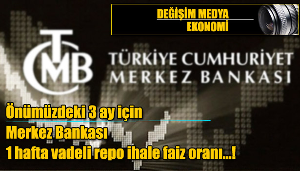 TCMB ŞUBAT 2013 ANKETİ
