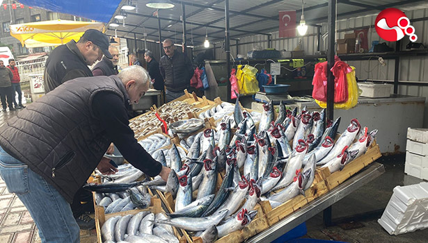 Palamut hem vatandaşı hem esnafı memnun etti