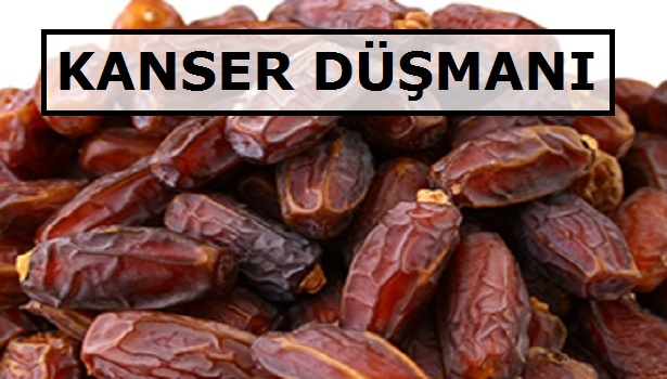 HURMA KANSER DÜŞMANI