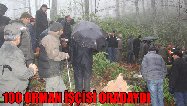 EREĞLİ'DE ORMAN İŞÇİLERİNE ÜRETİM VE İŞ GÜVENLİĞİ TATBİKATI