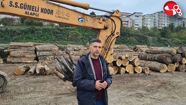 Orman ürünlerini 7 ülkeye ihraç ediyorlar