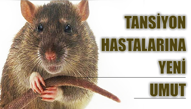 TOPLUMUN YÜZDE 25'İNDE GÖRÜLÜYOR !!