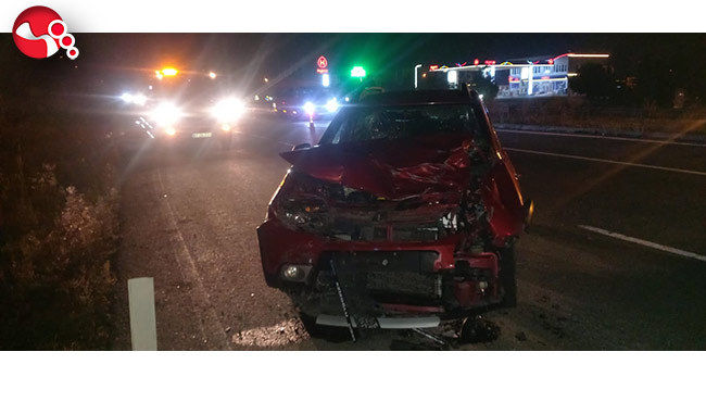 Yola aniden çıkan hayvan kazaya neden oldu: 2 yaralı