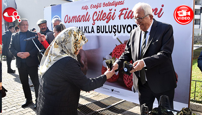 3 bin Osmanlı Çileği Fidesi halkla buluştu...