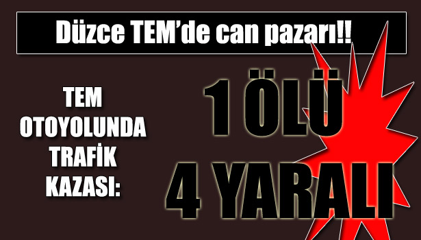 TÜM MÜDAHALEYE RAĞMEN KURTARILAMADI