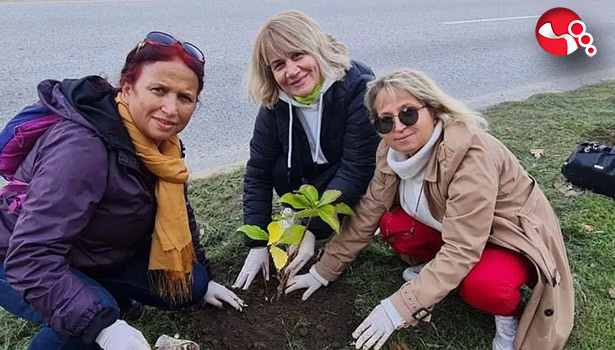 Devrek'te topraklar taflan ile buluştu