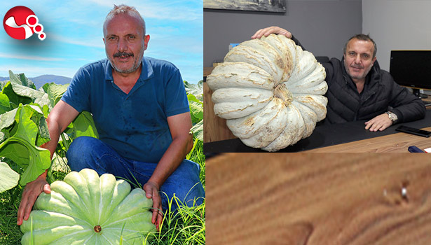 Kabak ekti 200 bin TL gelir elde etti