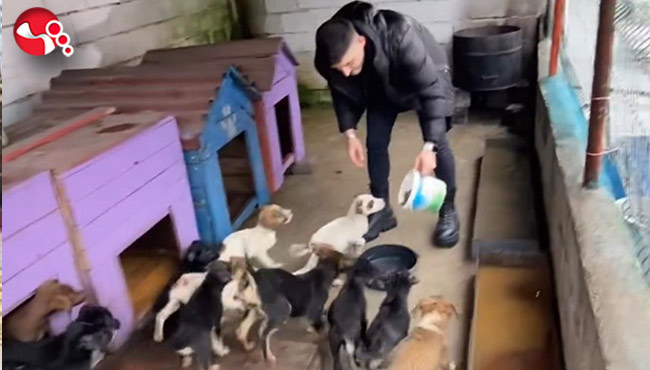 Rehabilitasyon merkezindeki hayvanları unutmadılar