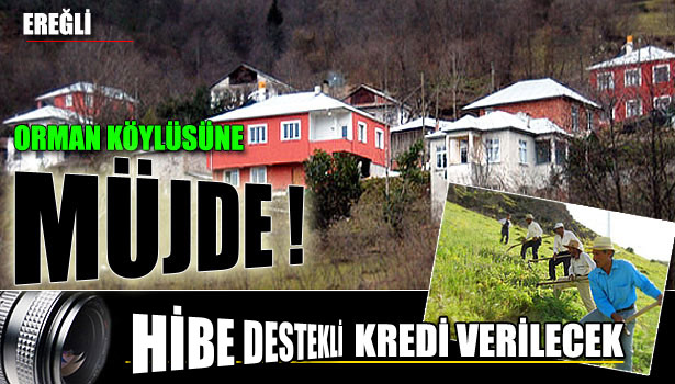 ORMAN KÖYLÜSÜNE KREDİ DESTEĞİ MÜJDESİ