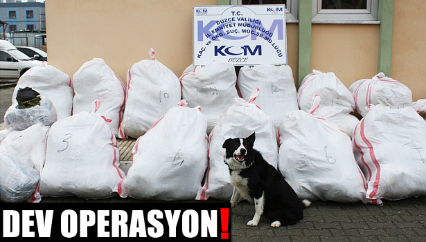 DEV UYUŞTURUCU OPERASYONU