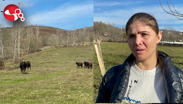 Merada adeta vahşet yaşandı