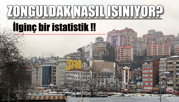 İŞTE ZONGULDAK'IN HANE VE HANE HALKI İSTATİSTİKLERİ