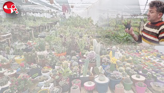 Büyük ilgi görüyor