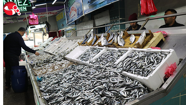 Tezgahlar Karadeniz hamsi ile doldu satışlar arttı
