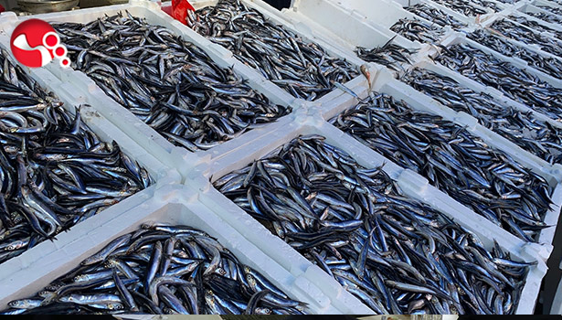 Havalar soğudu, fiyatlar attı