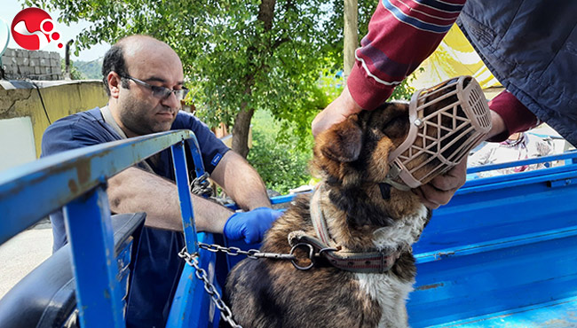 12 bin 655 evcil hayvana çip takıldı