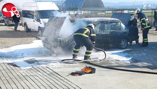 Park halindeyken alevlere teslim oldu