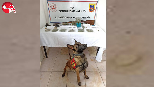 Silah ve Uyuşturucu Madde….