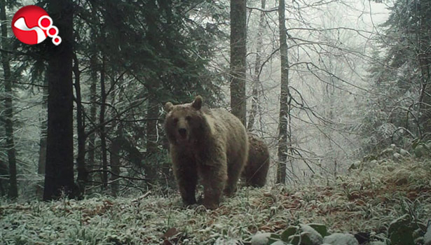 Havalar soğumadı, uyku tutmadı!..