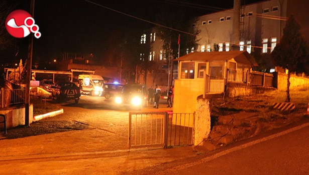 Ormancıya saldırdı!..