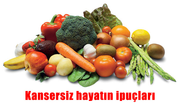 BAĞIŞIKLIĞI GÜÇLENDİRMEK İÇİN EKİNEZYA