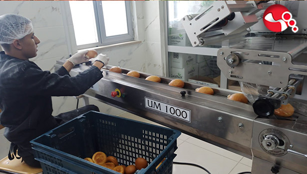 Depremzedelere ekmek üretiyorlar