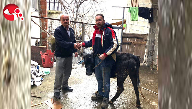 Hayvanını depremzedeler için sattı!..