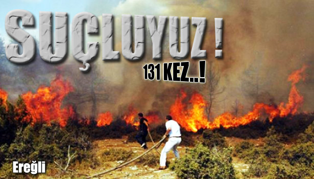 2.27 HEKTARLIK ORMAN ZARAR GÖRDÜ