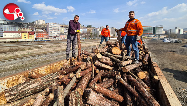 Odunlar depremzedelere gönderildi