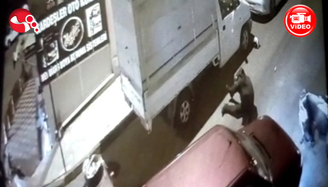 Ters yönden gelince...