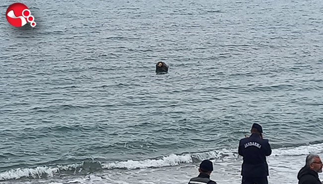 Denizde mayın korkusu