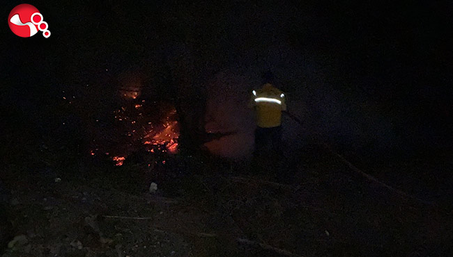 Nehir kenarında yakılan ateş örtü yangınına dönüştü