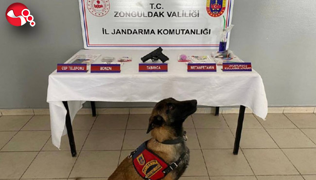 Zonguldak ve Bartın’da operasyon!