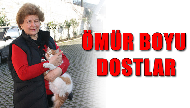 TÜRKALİ'DE ÜÇ AYAKLI KEDİ