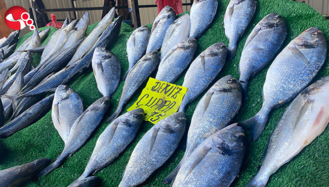 Ramazan'da çupra ve somona rağbet bekleniyoR