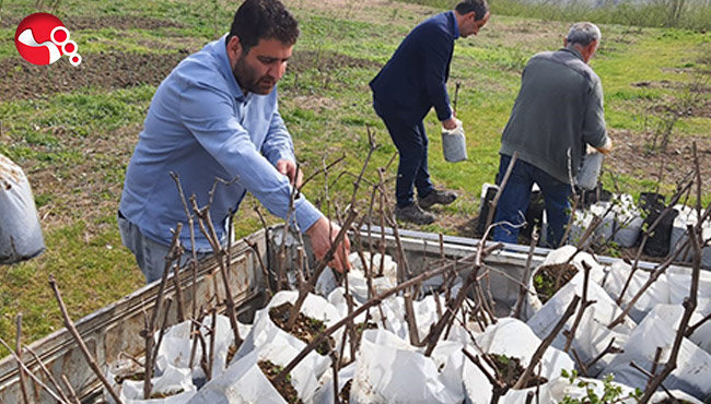 Kaybolmaya yüz tutmuştu, yeniden yaygınlaştırılacak