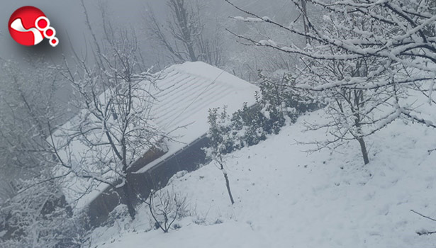 Gümeli'de kar yağışı