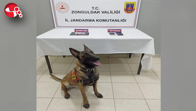 Çok sayıda uyuşturucu madde!..